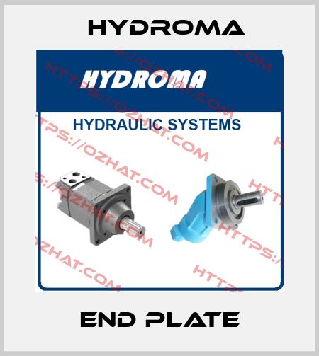 END PLATE HYDROMA