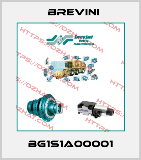 BG1S1A00001 Brevini