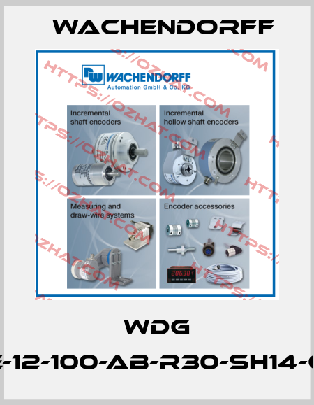 WDG 58E-12-100-AB-R30-SH14-G82 Wachendorff