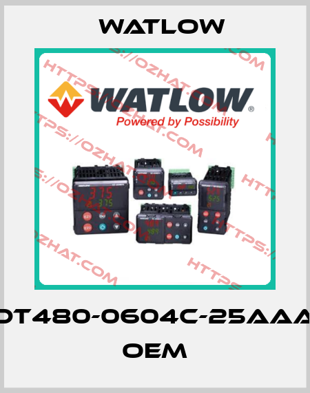 DT480-0604C-25AAA OEM Watlow
