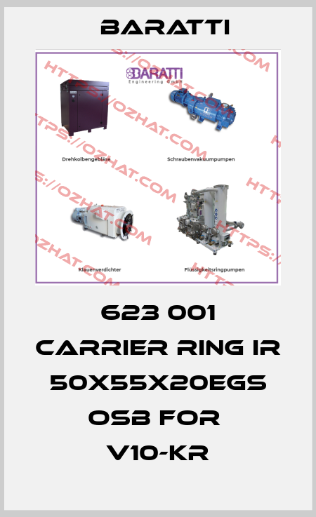 623 001 carrier ring IR 50x55x20EGS oSb for  v10-kr Baratti