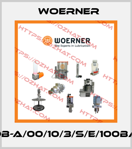 HDB-A/00/10/3/S/E/100BAR Woerner