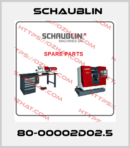 80-00002D02.5 Schaublin