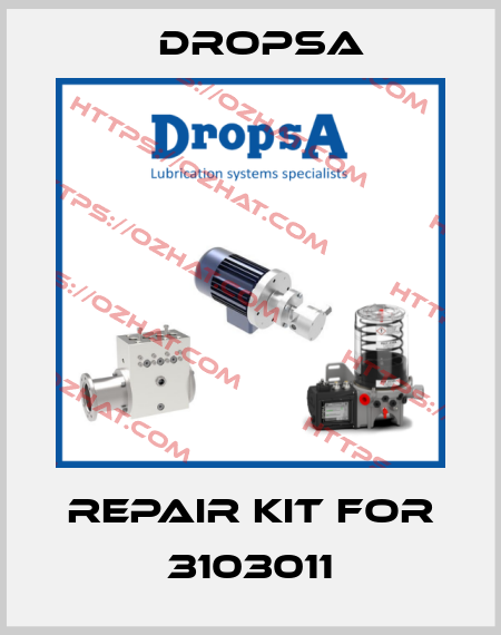 Repair kit for 3103011 Dropsa