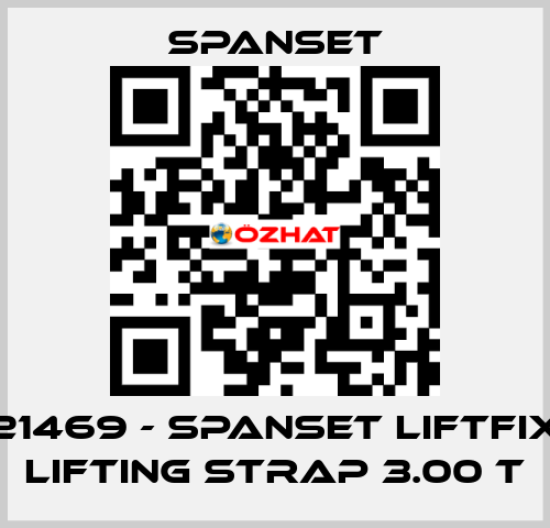 21469 - SpanSet Liftfix lifting strap 3.00 t SpanSet