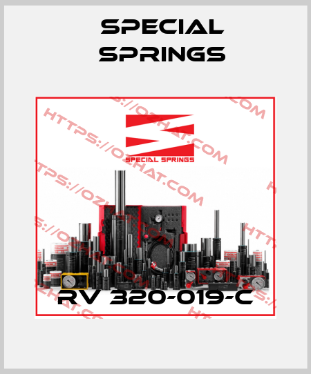 RV 320-019-C Special Springs