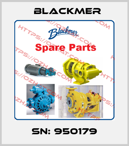 SN: 950179 Blackmer