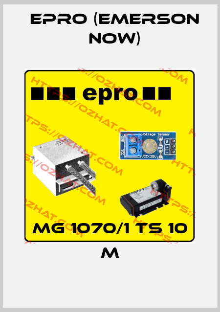 MG 1070/1 TS 10 m Epro (Emerson now)