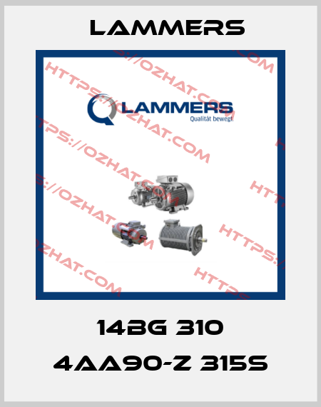 14BG 310 4AA90-Z 315S Lammers