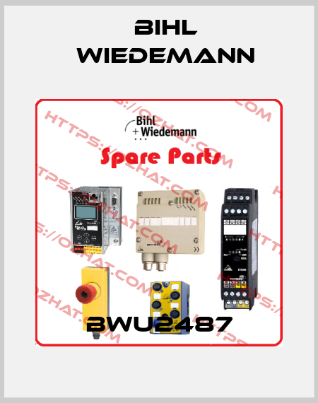 BWU2487 Bihl Wiedemann