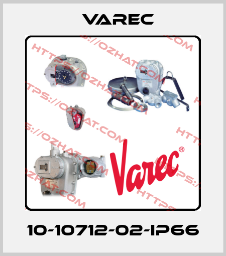 10-10712-02-IP66 Varec
