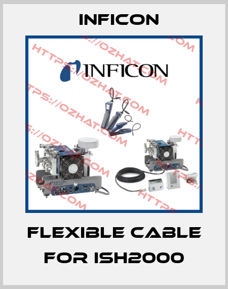 flexible cable for ISH2000 Inficon