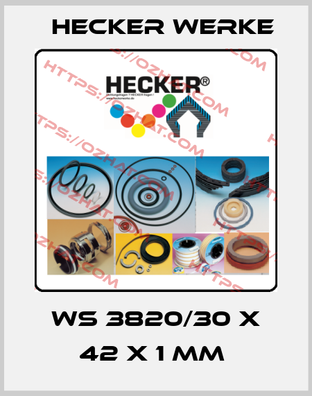 WS 3820/30 X 42 X 1 MM  Hecker Werke