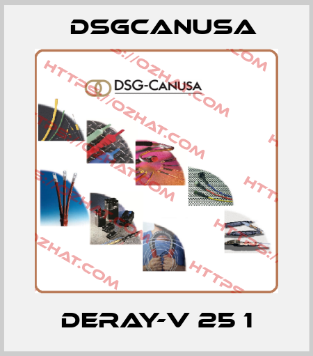 DERAY-V 25 1 Dsgcanusa