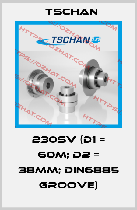 230SV (d1 = 60m; d2 = 38mm; DIN6885 groove) Tschan
