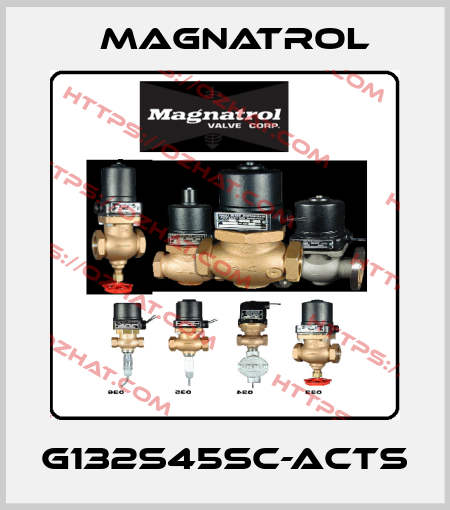 G132S45SC-ACTS Magnatrol