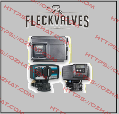 61500-2900 Fleck Valves