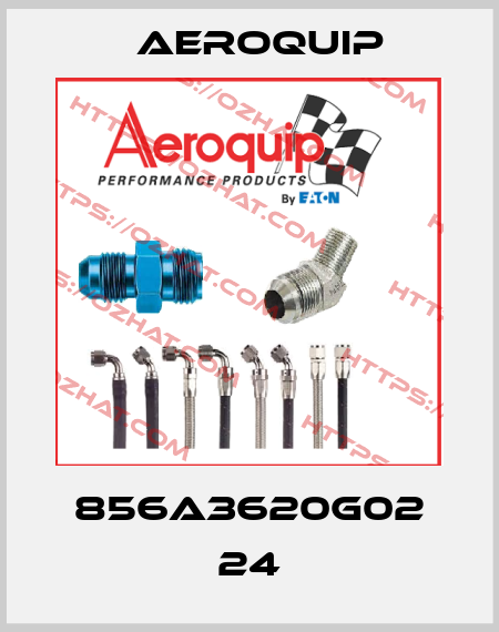 856A3620G02 24 Aeroquip