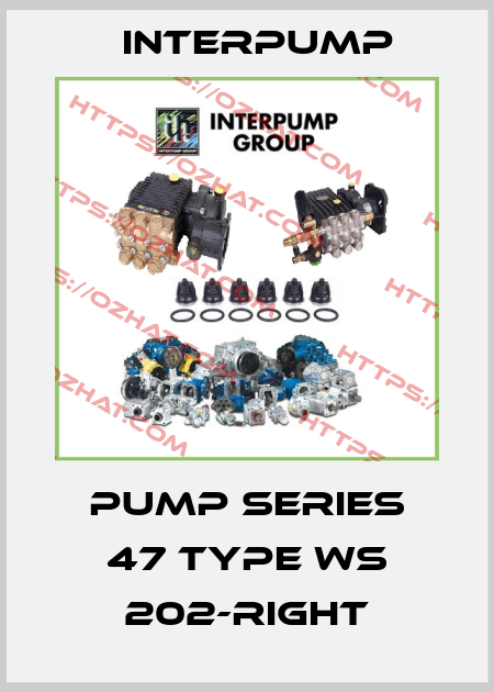 Pump series 47 type WS 202-right Interpump