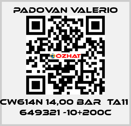 CW614N 14,00 BAR  TA11  649321 -10+200C PADOVAN VALERIO