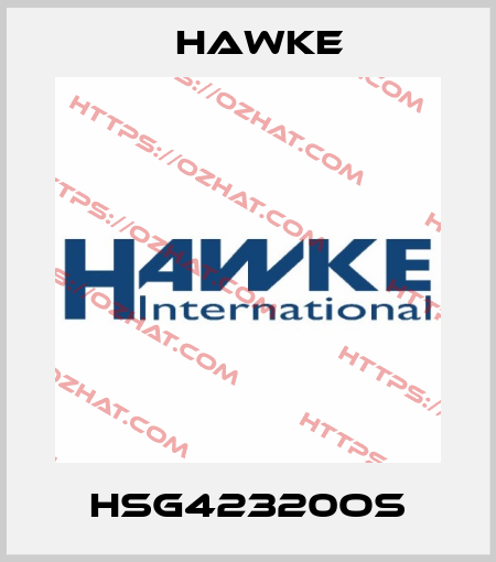 HSG42320OS Hawke