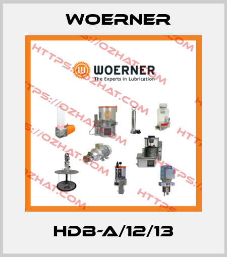 HDB-A/12/13 Woerner