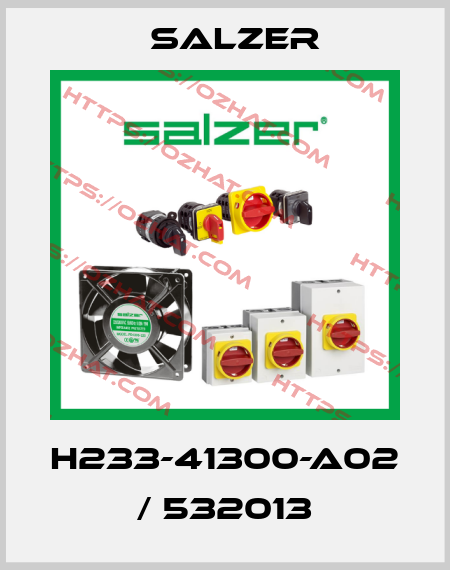 H233-41300-A02 / 532013 Salzer