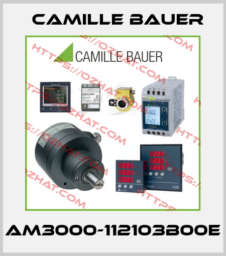 AM3000-112103B00E Camille Bauer