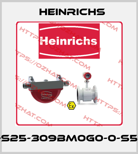 BGN-S25-309BM0G0-0-S51-0-H Heinrichs