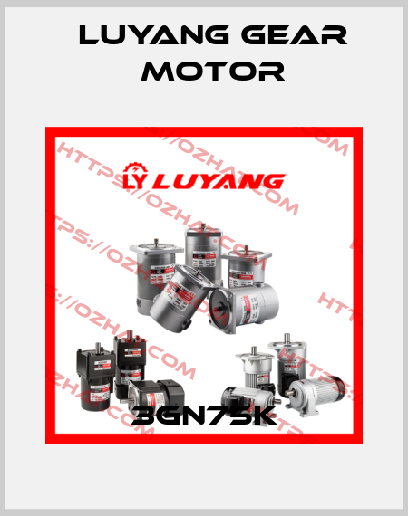 3GN75K Luyang Gear Motor