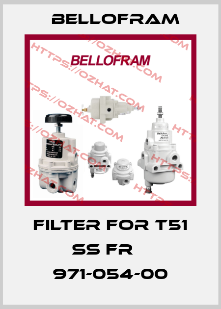 filter for T51 SS FR    971-054-00 Bellofram