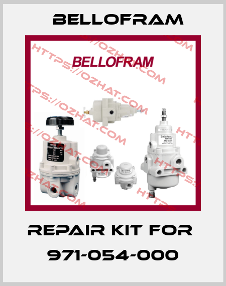 repair kit for  971-054-000 Bellofram
