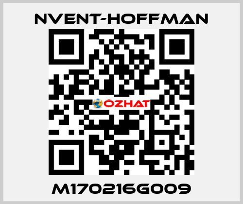 M170216G009 nVent-Hoffman