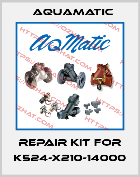 Repair kit for K524-X210-14000 AquaMatic