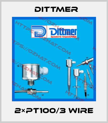 2×PT100/3 WIRE Dittmer