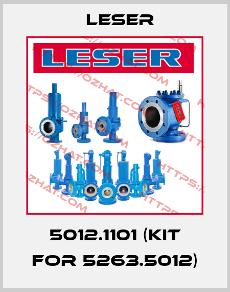 5012.1101 (kit for 5263.5012) Leser