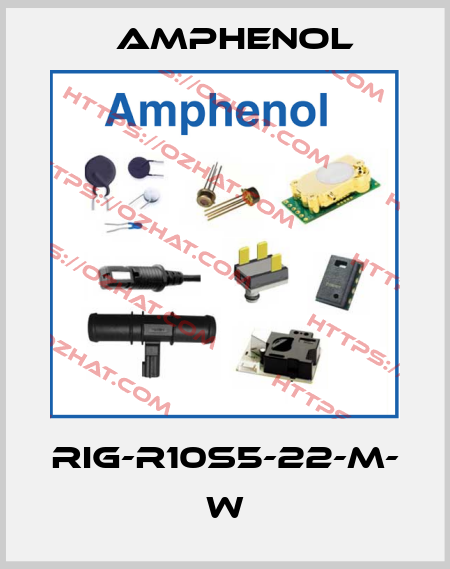 RIG-R10S5-22-M- W Amphenol