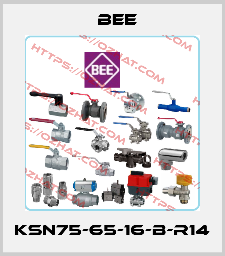 KSN75-65-16-B-R14 BEE