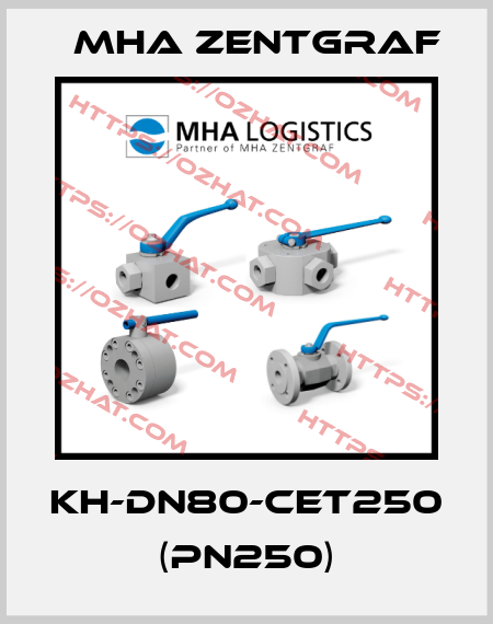 KH-DN80-CET250 (PN250) Mha Zentgraf