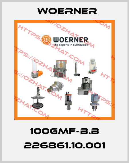 100GMF-B.B 226861.10.001 Woerner
