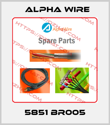5851 BR005 Alpha Wire