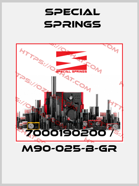 7000190200 / M90-025-B-GR Special Springs