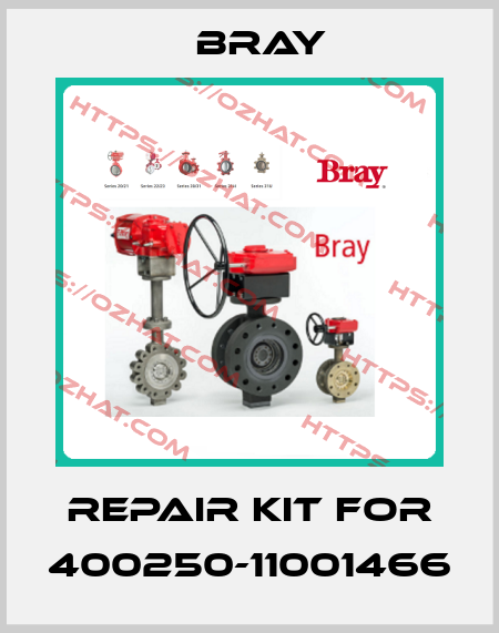 Repair Kit for 400250-11001466 Bray