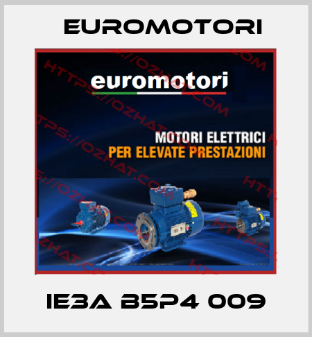 IE3A B5P4 009 Euromotori