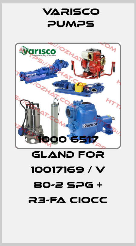 1000 6517 gland for 10017169 / V 80-2 SPG + R3-FA CIOCC Varisco pumps