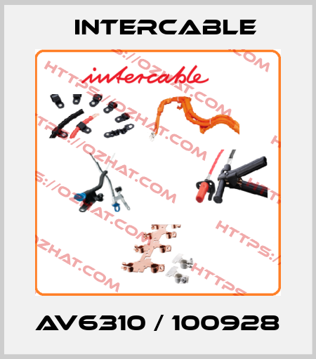 AV6310 / 100928 Intercable