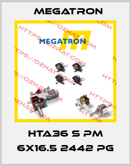 HTA36 S PM 6x16.5 2442 PG Megatron