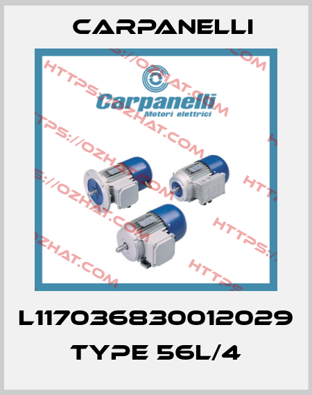 L117036830012029 Type 56L/4 Carpanelli