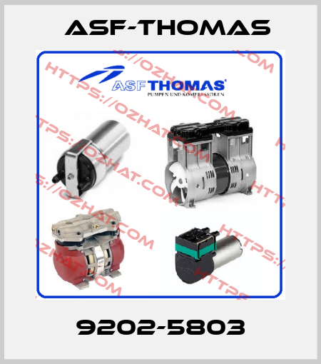 9202-5803 ASF-Thomas