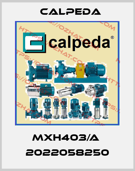 MXH403/A  2022058250 Calpeda